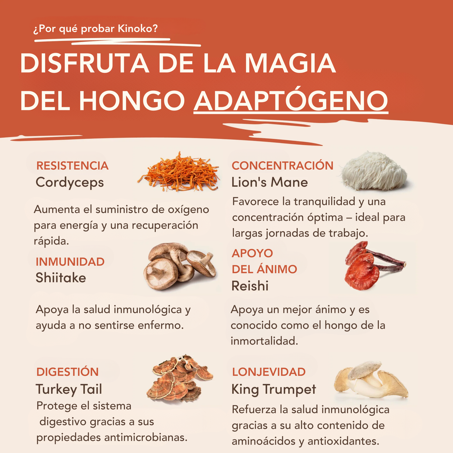 Kinoko Café con Setas